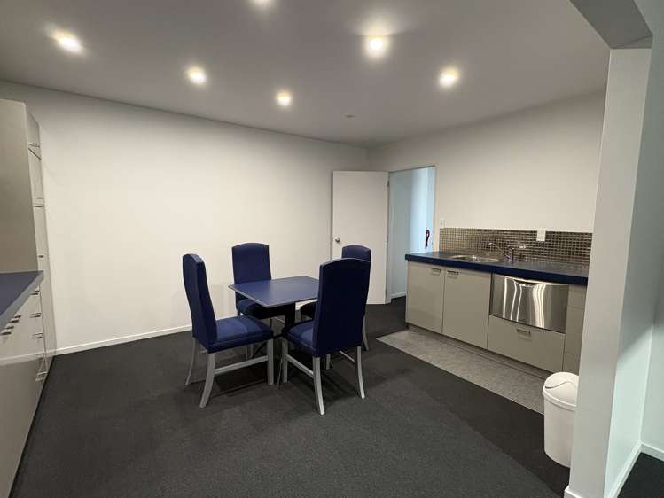 52 Orbell Street Sydenham_7