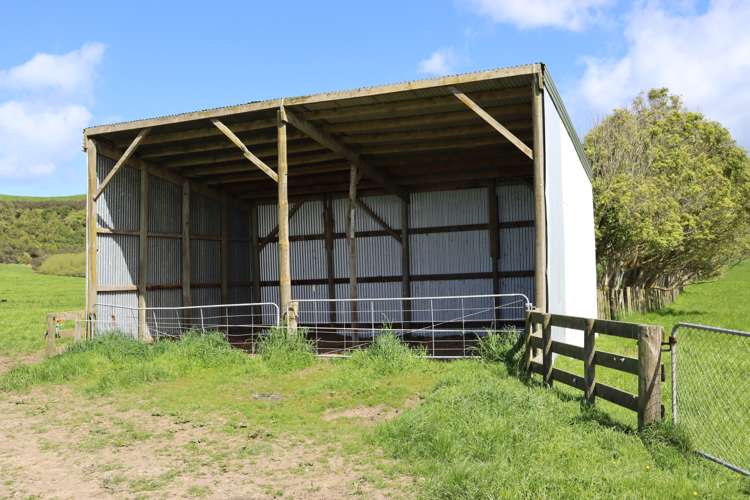 734 Bird Road Pukengahu_20