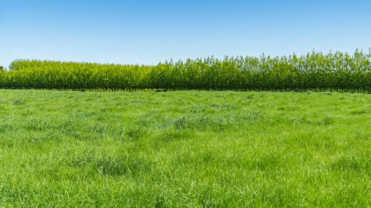 140 Hudsons Road Lincoln_26