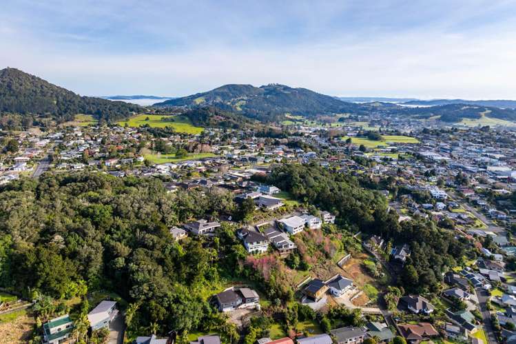 16 Louisa Lane Te Kamo_25