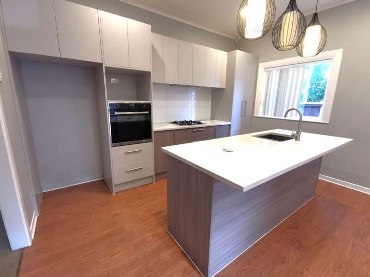 3 Peet Avenue Royal Oak_0