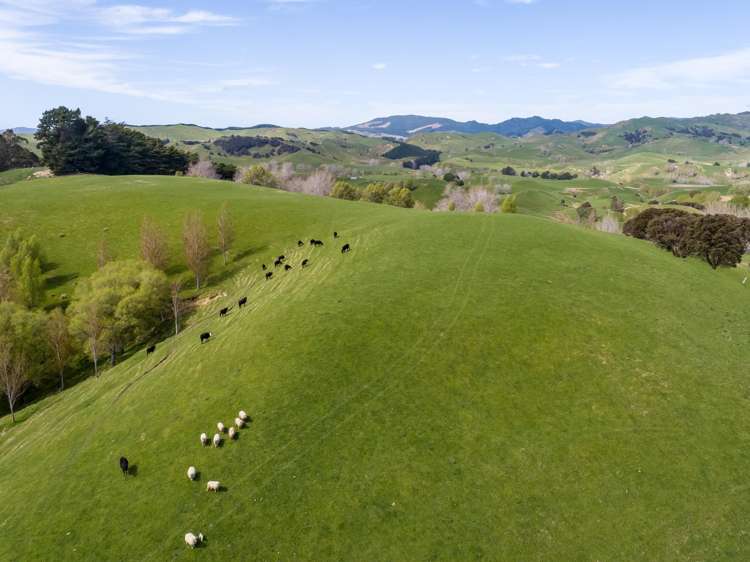 2122 Masterton Castlepoint Road Masterton_24