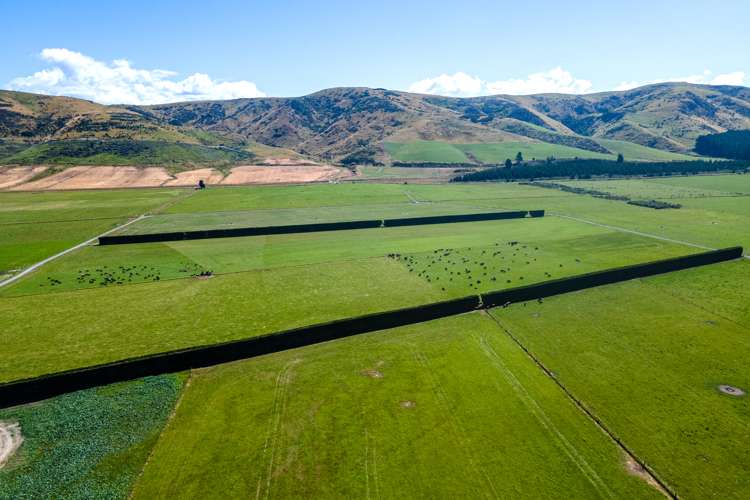 87 Hekeao Road Mesopotamia_19