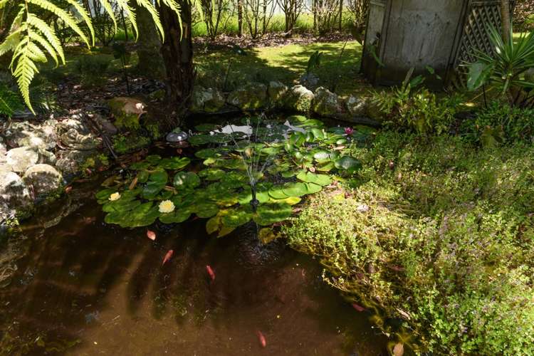 41 Walter Henry Drive Omanawa_49