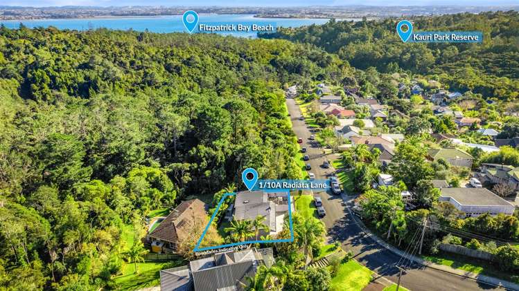 1/10a Radiata Lane Chatswood_17