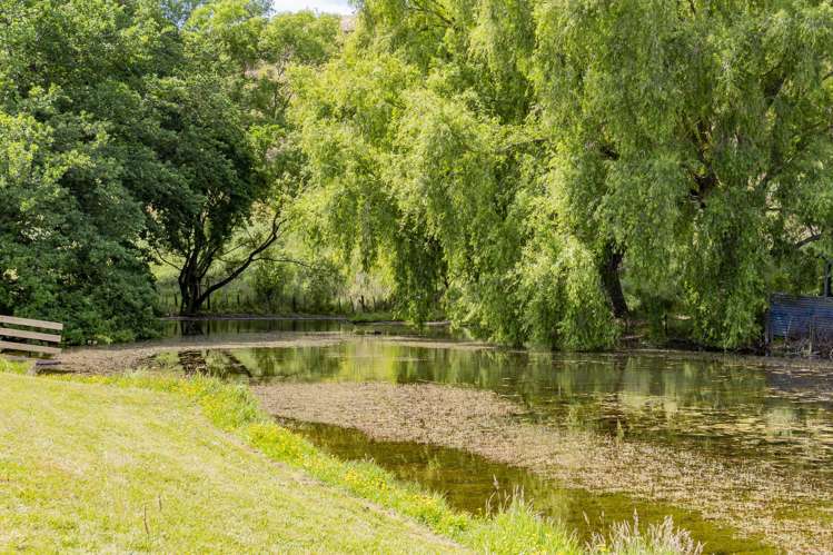 Lot 5, Kopaki Bay Road (614 Puketitiri Road) Puketapu_9