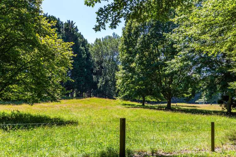 668 Oruanui Road Oruanui_31