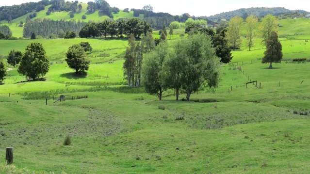 3136 State Highway 1 Umawera_1