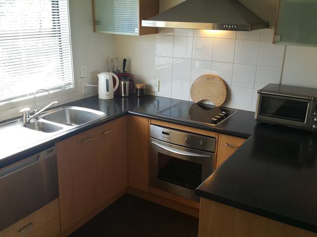 3j Laxon Terrace Remuera_1