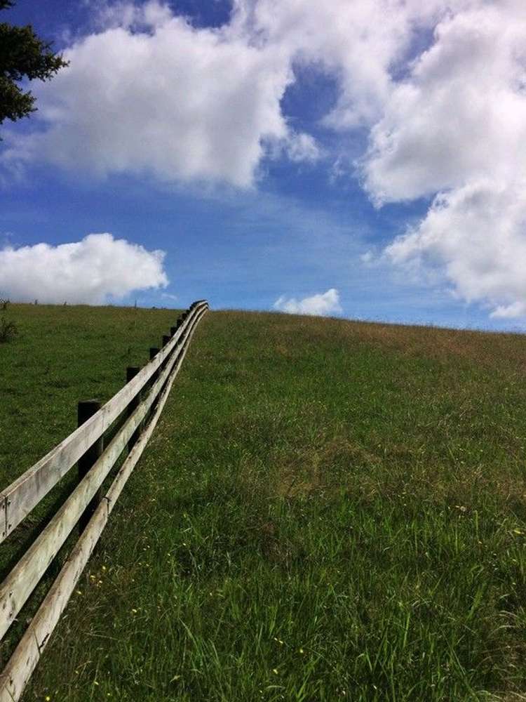 Jounneaux Road Kamo_6