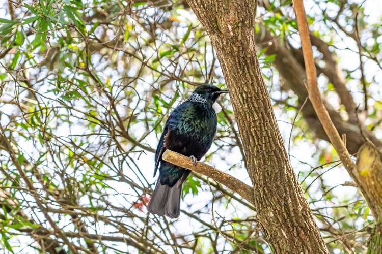 3 Norton Park Avenue Fairfield_30