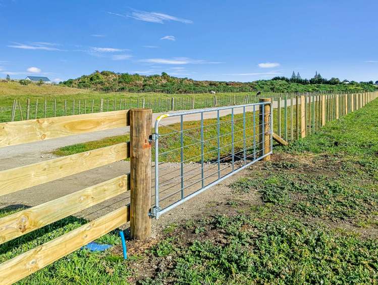 5/97 Manuka Street Castlecliff_15