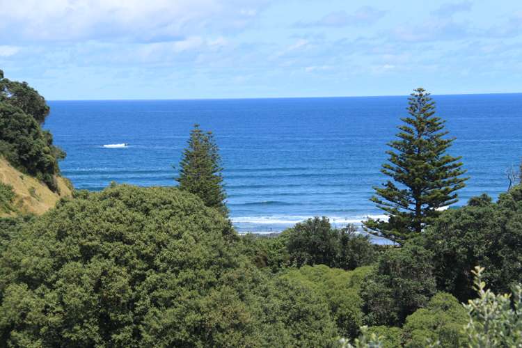 25 Domain Crescent Muriwai_13