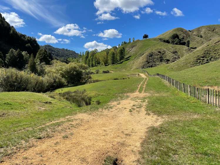 808 Roto Road Ohura_8