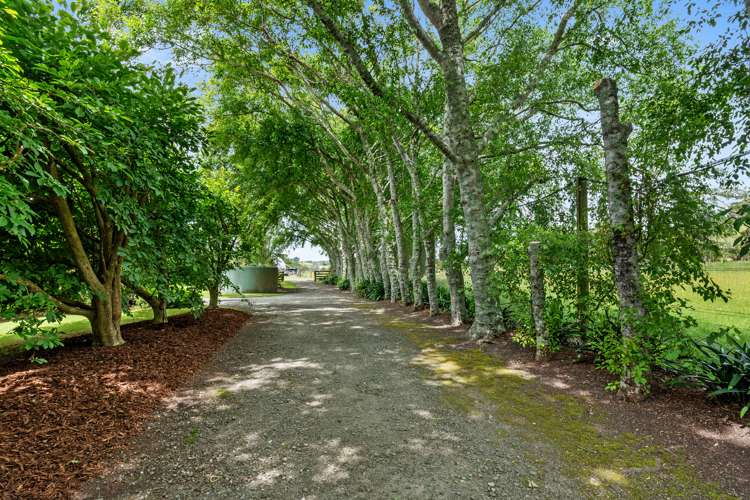 279 Peak Road Kaukapakapa_41