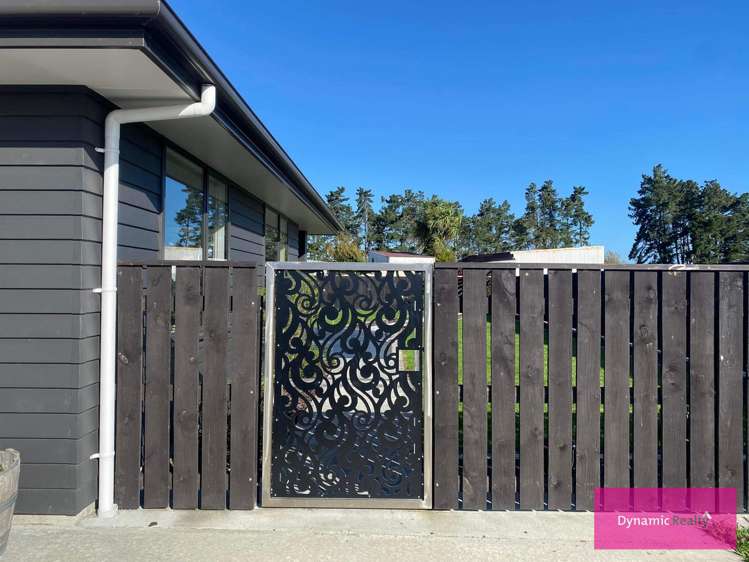 15 George Street Bulls_29