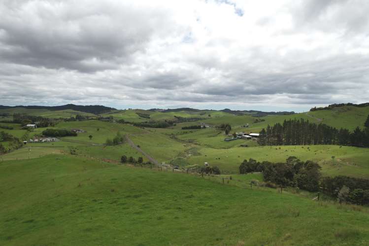 91 Sharyn Nelson Drive Haruru_6