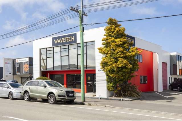 124F Wordsworth Street Sydenham_1