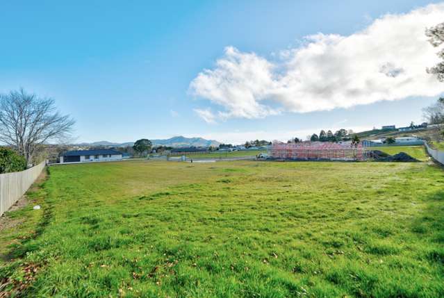 12, 14, 16 Kahikatea Drive Gore_3