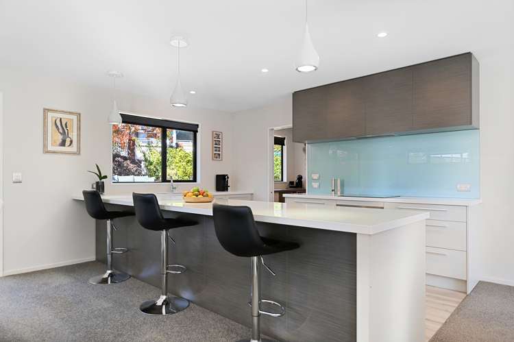 10 Lucas Lane Hillsborough_7