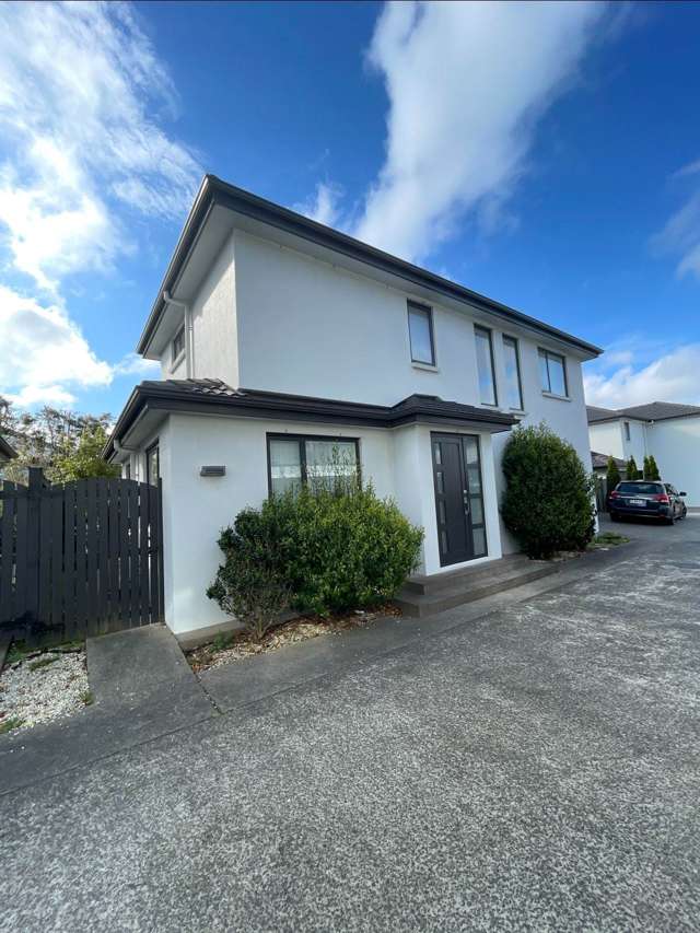 488A Richardson Road Mt Roskill_1