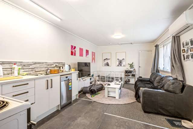 55 Bathgate Street South Dunedin_3