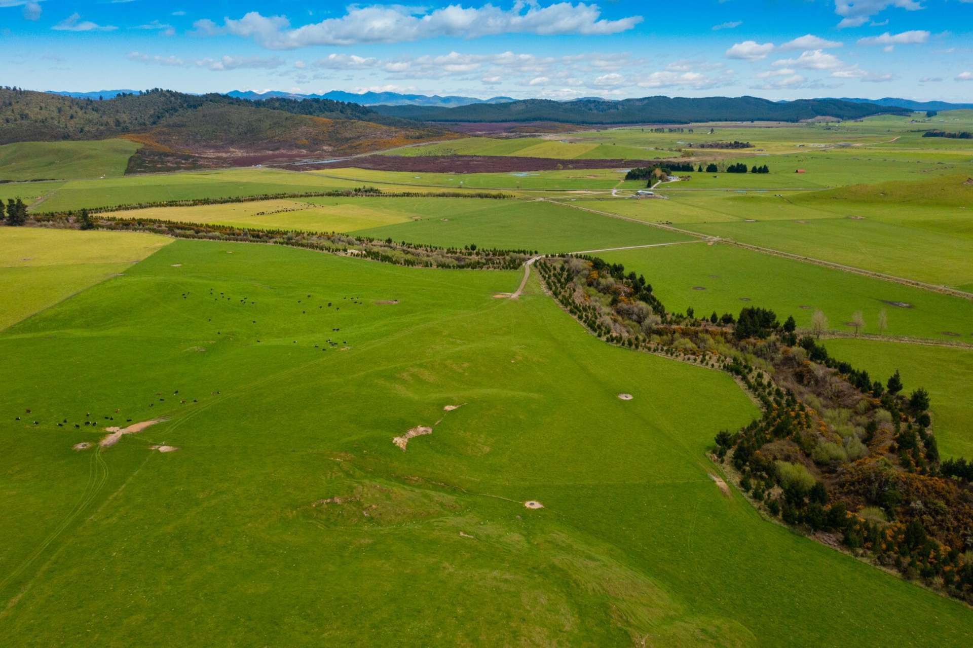 91 Matea Road Taupo_0