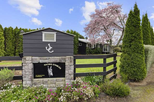 197 Peake Road Cambridge_3