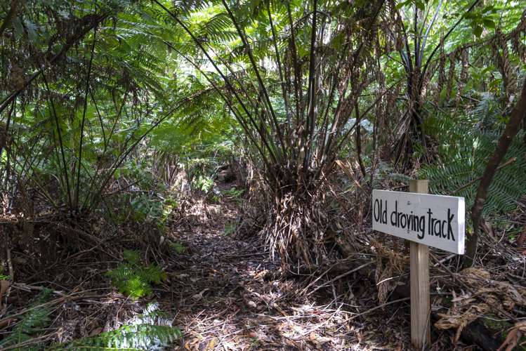 1863 Takaka-Collingwood Highway Collingwood_38