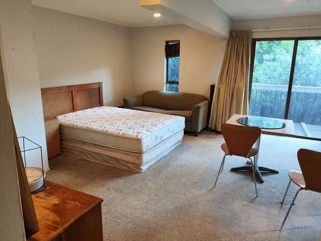 Charming Remuera 1BR Garden Flat!