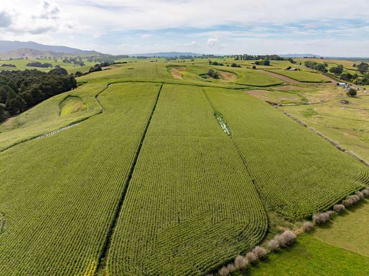 1179 Tahuna Road Ohinewai_10