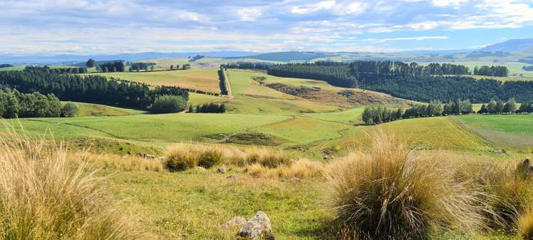 41 Otaria Road Gore Surrounds_15