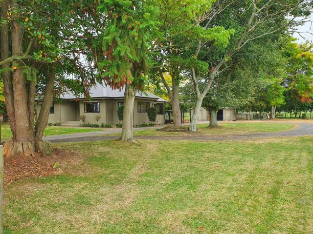 323 Wood Road Waitoa_4