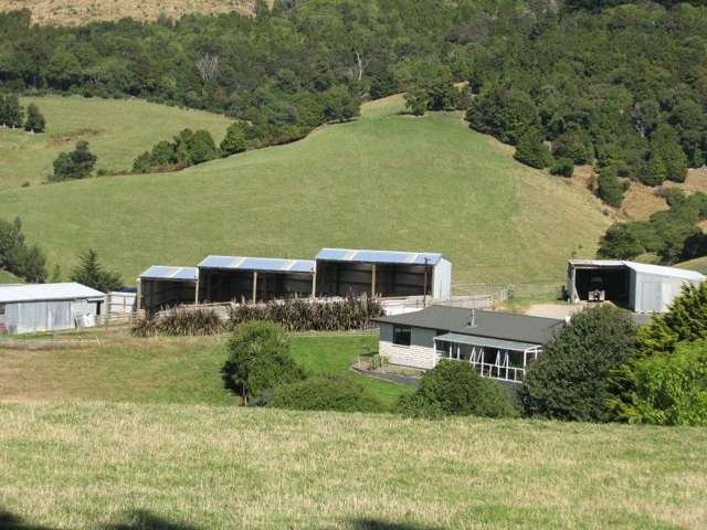 183 Gunn Road Catlins Surrounds_3
