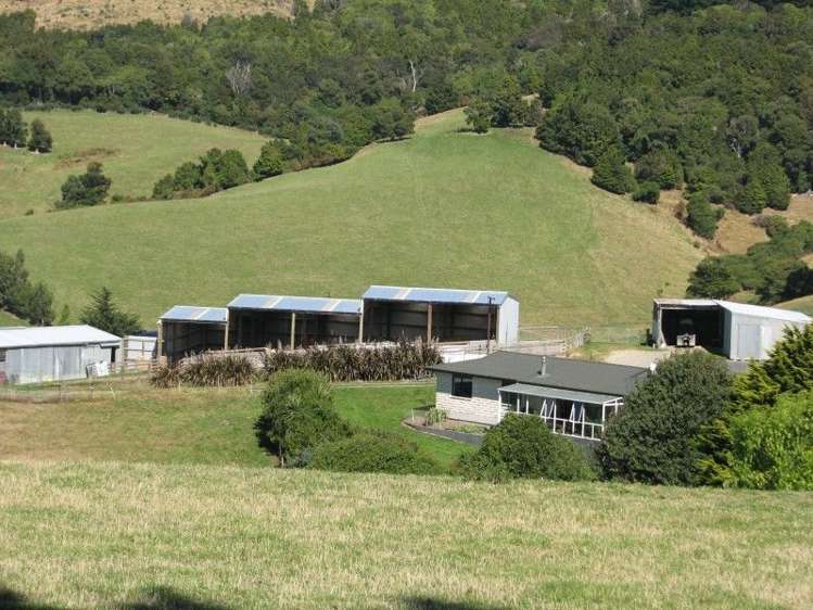 183 Gunn Road Catlins Surrounds_3