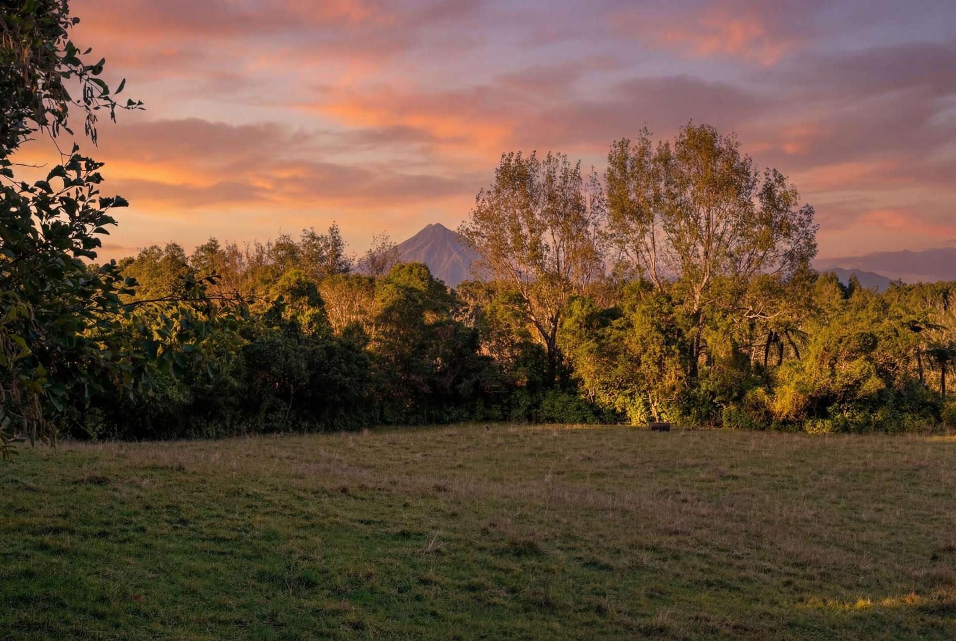 0n Umutekai Road Hillsborough_0