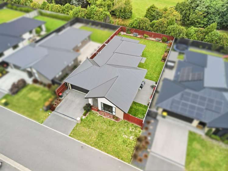 16 Pallid Green Rolleston_20