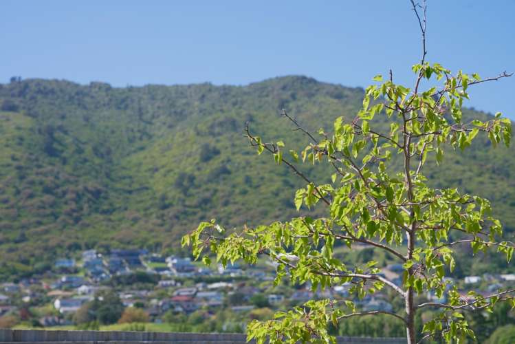 100 Waipunahau Road Waikanae_19