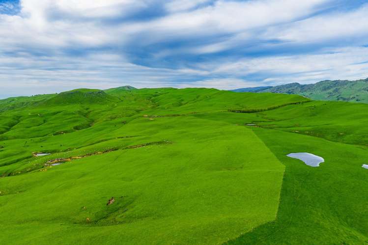 439 Rakauroa Road Matawai_16