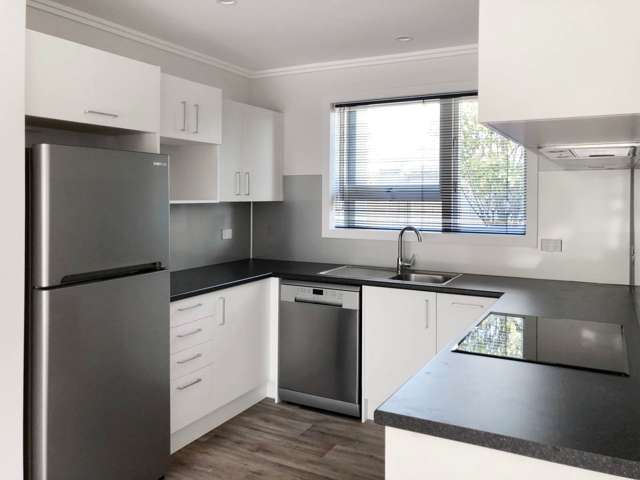 A/447 Great North Road Grey Lynn_4