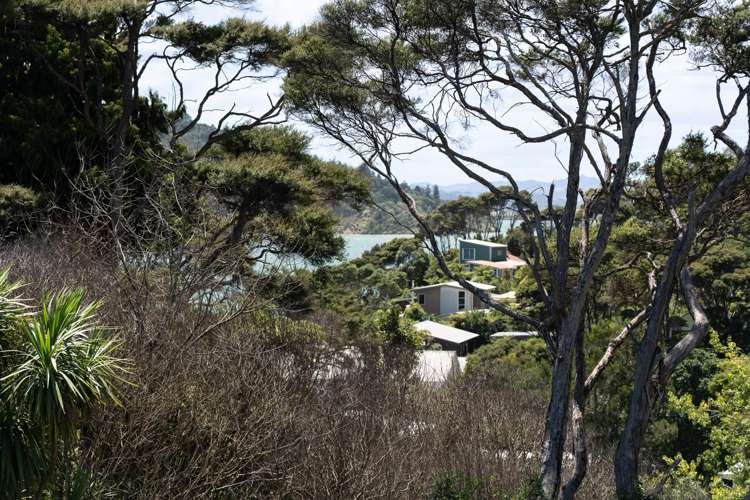 11 Sunshine Rise Raglan_9