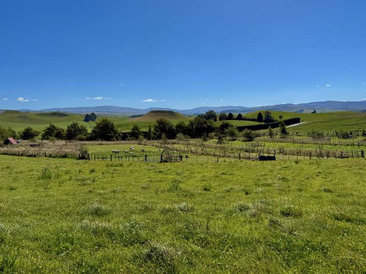 407 Elephant Hill Road Waimate_33