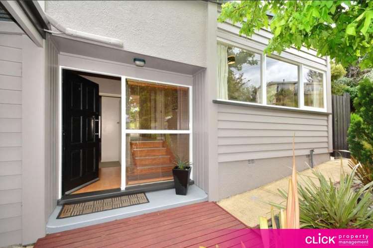 298 Kenmure Road 2506_6