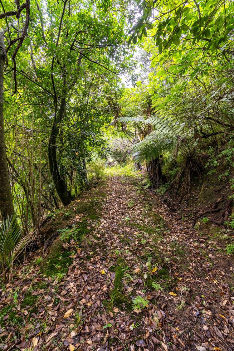 17 Pepi Road Parua Bay_13