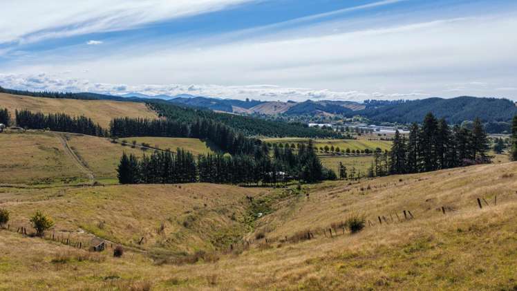 78 Teapot Valley Road Brightwater_13