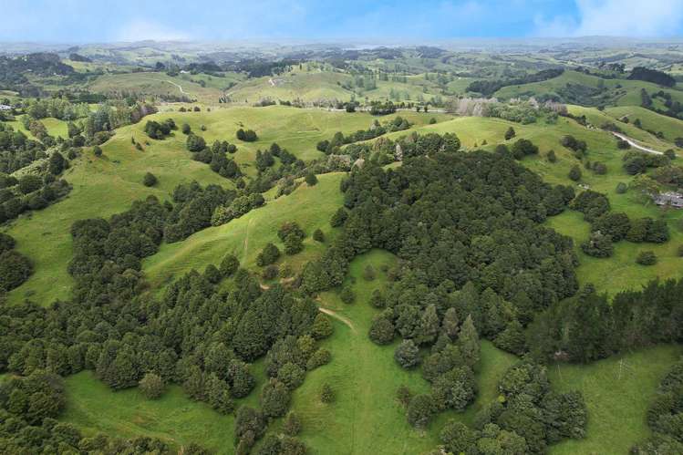 Lot 2/347 Porter Road Paparoa_13