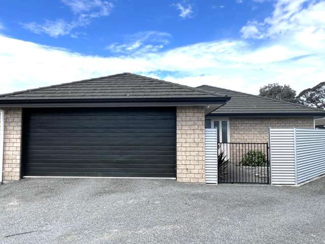 63B Nelson Street Springlands_1