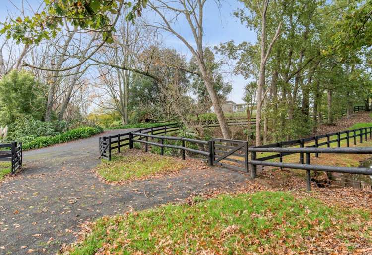 Woodlyn Drive_4