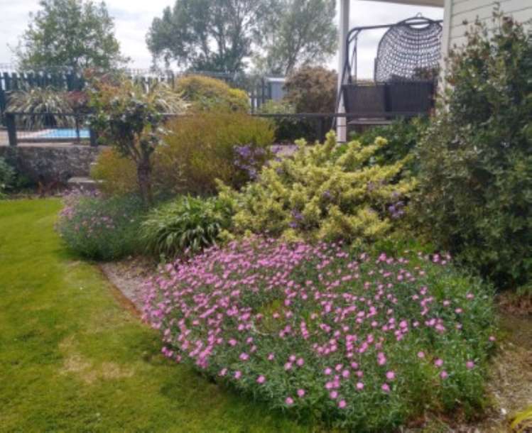 29 Halcrow Road Reporoa and Surrounds_18