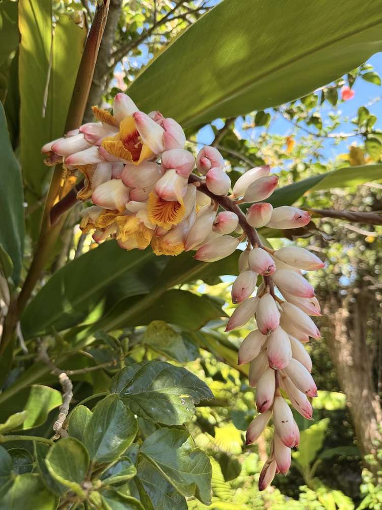 42 Tasman Heights Ahipara_43